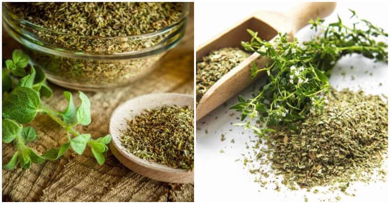 10 Summer Culinary Herbs That You Can Dry To Use For A Long Time