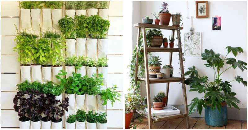 15 Amazing Ideas For DIY Vertical Indoor Gardens