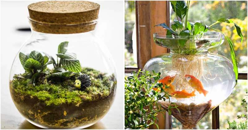 15 Inspiring DIY Indoor Water Garden Ideas
