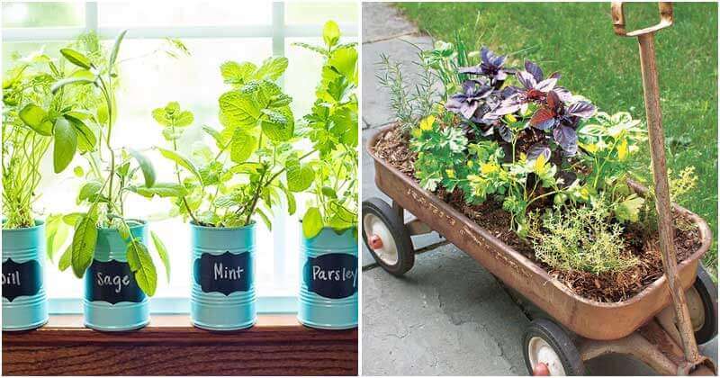 30 Cool DIY Herb Planters That Inspire All