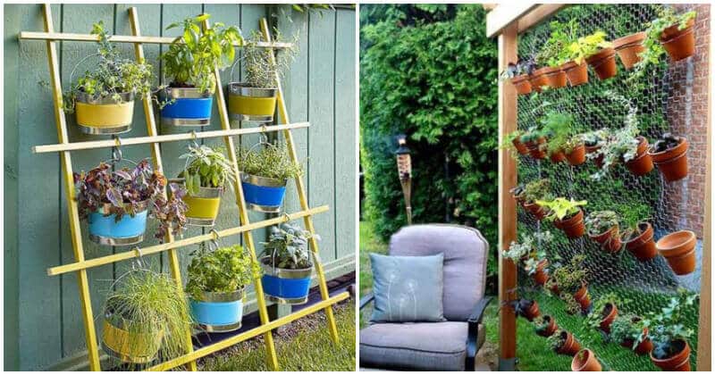 Charming Vertical Garden Ideas For Your Fence