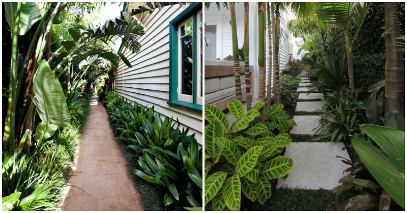 Inspiring Side Yard Ideas With Tropical Plants From Pinterest