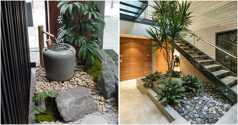 14 Astound Indoor Rock Garden Ideas