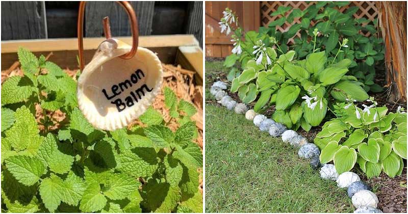 20 Easy DIY Seashell Projects For Decorating The Garden And Home