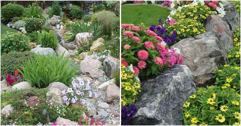 22 Awesome Natural Rock Garden Landscaping Ideas That You Will Love Seeing All Time