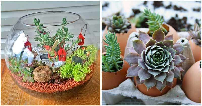 Collection of Clever DIY Indoor Gardening Ideas