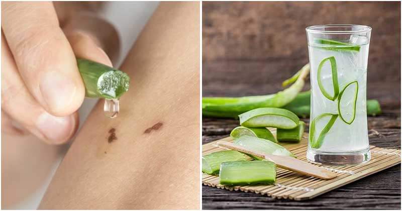 8 Awesome Aloe Vera Benefits That Are Proven In Studies