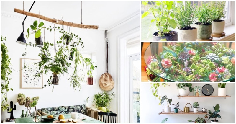 20 Creative Saving Space Ideas When Growing Plants In Small Room