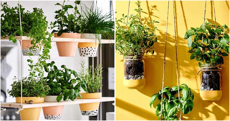 22 DIY Hanging Herb Garden To Save Small Space Indoors