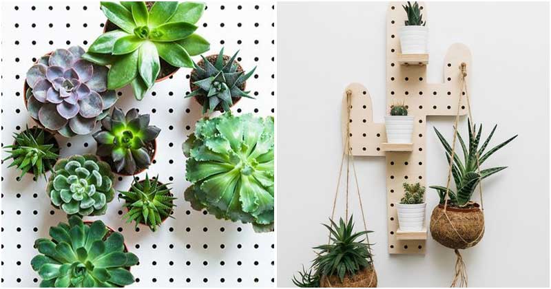23 Brilliant Ideas To Use Pegboards For Your Houseplants