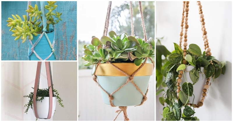 16 DIY Plant Hanger Ideas