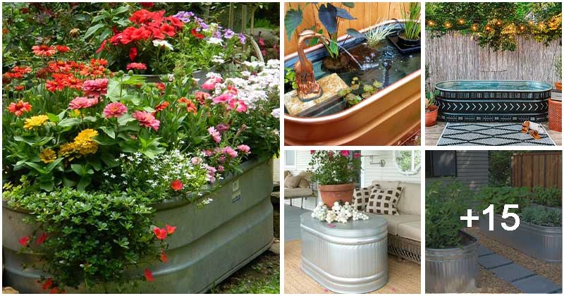 20 Clever Ways To Use Stock Tanks And Galvanized Tubs In Backyard