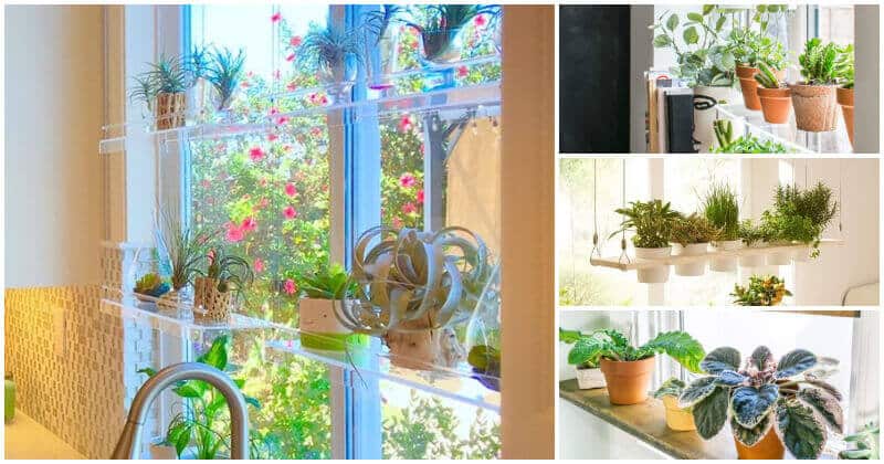 20 Tidy Indoor Window Plant Shelf Ideas