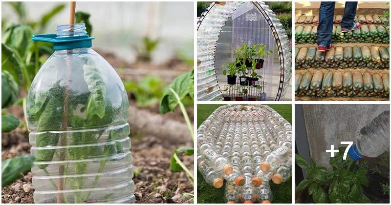 Useful Plastic Bottle Garden Projects You Can Make Easy At The Home