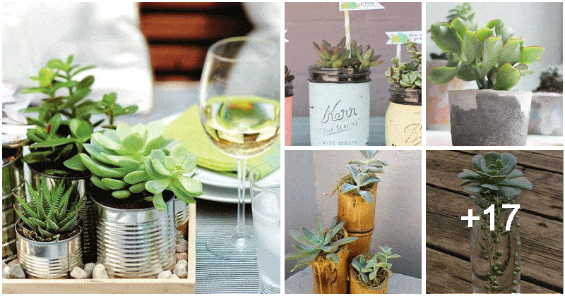 22 Creative Recycled DIY Succulent Planter Ideas