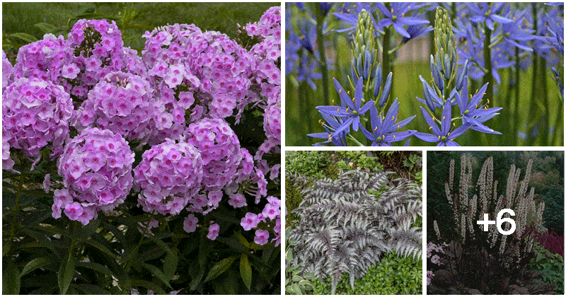 10 Best Plants That Grow Well In Humid Zones