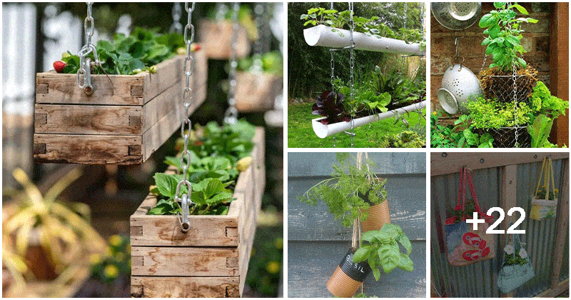 27 DIY Hanging Garden Ideas