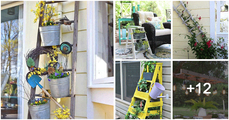 Easy DIY Garden Projects Made Out Of Old Ladders