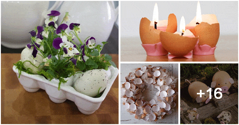 Fun Eggshell Craft Ideas to Decor Your Home