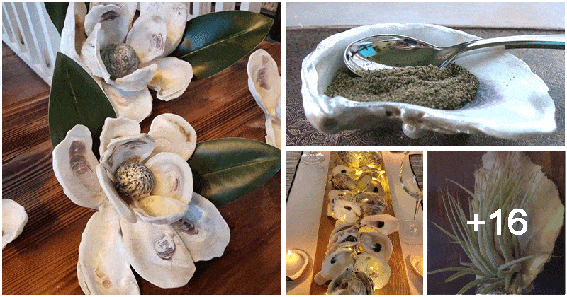 20 Beautiful Ways to Repurpose Oyster Shells