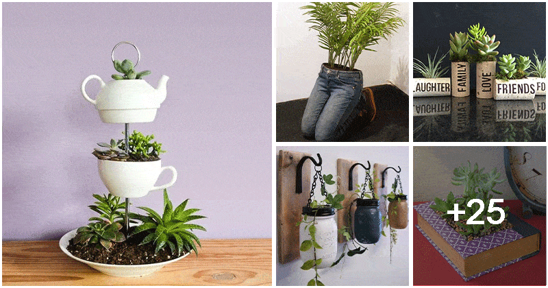 30 Recycled Indoor Planter Ideas