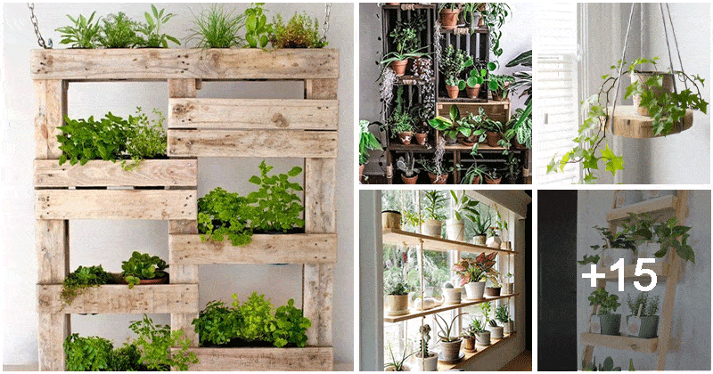 20 Upcycled DIY Plant Shelf Ideas