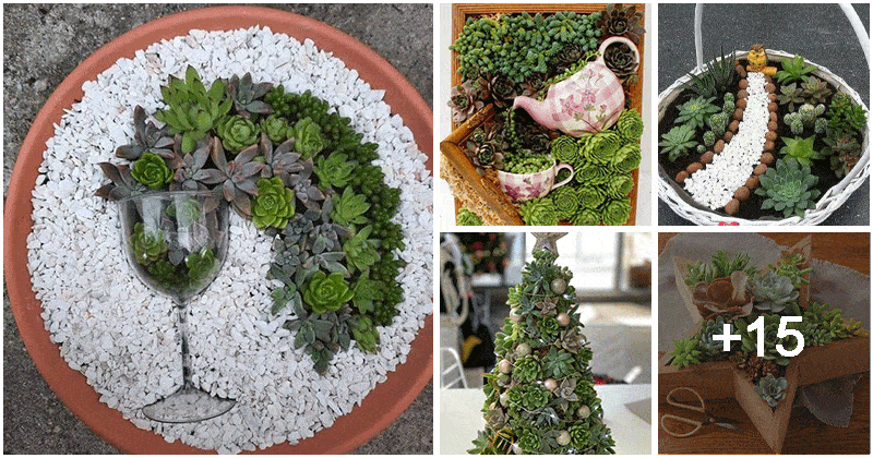 20 Beautiful Ways To Decorate With Succulents