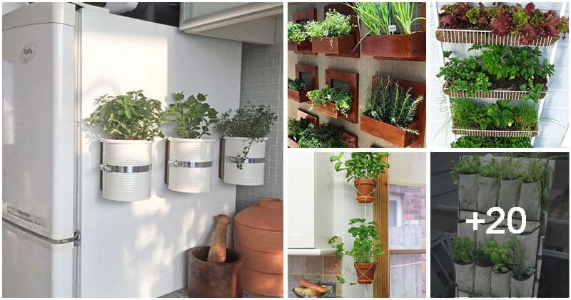 25 Small Vertical Herb Gardens for Indoors and Outdoors