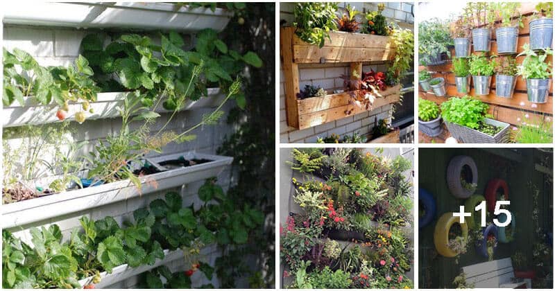 20 Upcycling Wall Garden Ideas
